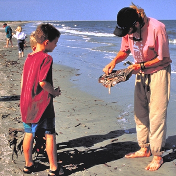 Little St Simons Island 2