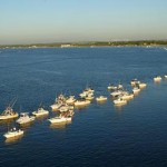 Kingfish Tournament Jacksonville